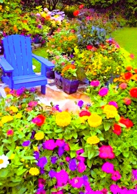 Gradina cu flori de primavara